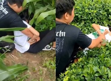 sex aya aov Trốn bồ ngoại tình Vietsub